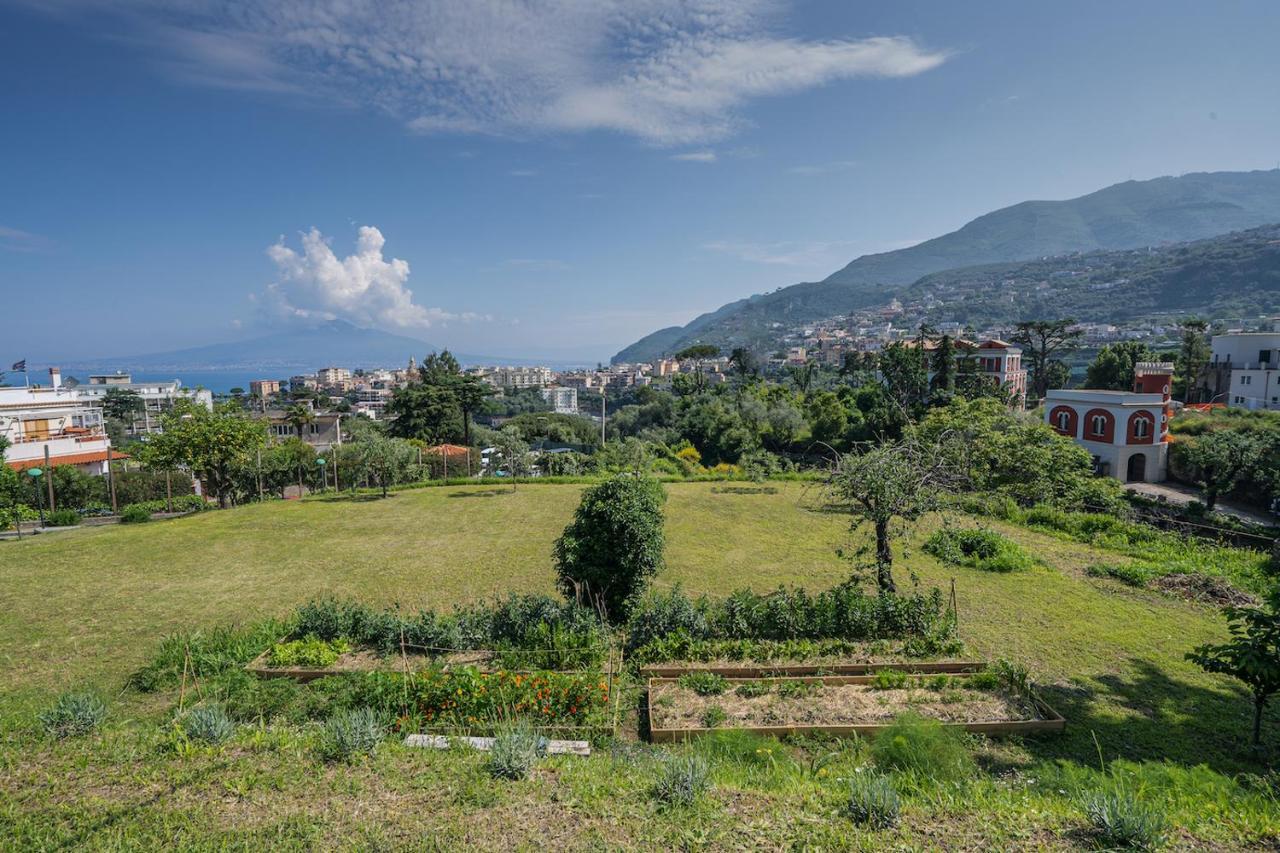 Villa Aurora Vico Equense Eksteriør billede